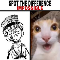 an image of a cartoon character with the caption spot the difference impossible