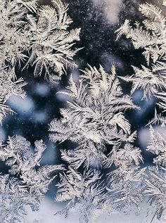 the frosted window is looking like it's been taken on a cold day