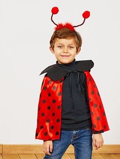 a young boy wearing a lady bug costume