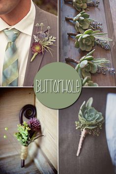 a collage of photos with succulents and boutonnieres