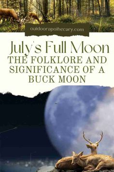 the cover of july's full moon is shown with two deers in the background