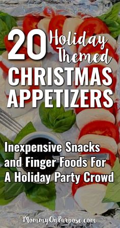 20 Holiday-Themed Christmas Appetizers Potluck Dishes For Work, Christmas Party Potluck, Festive Christmas Appetizers, Easy Holiday Snacks, Christmas Buffet Table, Xmas Appetizers, Christmas Veggie Tray, Christmas Finger Foods, Christmas Party Snacks