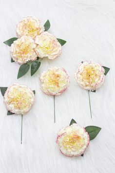 five pink and white peonies with green leaves laid out on a fur surface