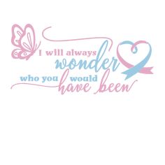 the words i will always wonder who you would have been written in pink and blue