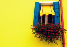 a window with blue shutters and red flowers in the planter on the wall