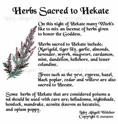 Herbs For Hecate, Herbs For Hekate, Herbs For Lilith, Mother Hecate, Mother Hekate, Herbal Cabinet