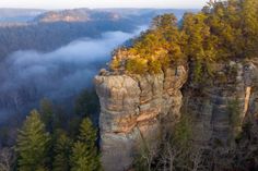 the cliff is surrounded by trees and fog