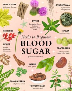 Want to avoid spikes and crashes 📉 that lead to mood swings, fatigue, and cravings? Blood sugar regulation is paramount for maintaining overall wellness. Stable blood sugar levels are the key to keeping our mood, bellies, and minds in balance. Long-term, uncontrolled blood sugar levels can contribute to some pretty serious health complications, from diabetes and cardiovascular disease to nerve damage. Medicinal Herbs Garden, Medical Herbs, Natural Healing Remedies, Herbal Healing, Home Health Remedies, Herbal Magic, Herbs For Health, Regulate Blood Sugar, Healing Food