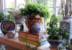 there are many potted plants and books on the window sill in this room