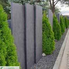 a row of bushes next to a sidewalk