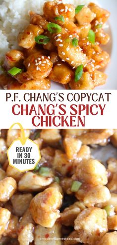 Close up of finished Chang's Spicy Chicken copycat recipe on a white plate with white rice in the background with a text overlay that says seriously the best chang's spicy chicken copycat recipe gluten free recipe Changs Spicy Chicken, Spicy Green Beans, Serve Over Rice, Vegetable Fried Rice, Fried Vegetables, Honey Recipes, Copycat Recipe, Chicken Flavors