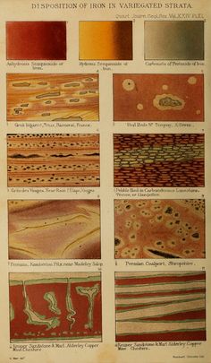 an old book with different types of soil