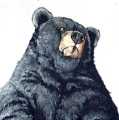 a painting of a black bear sitting down