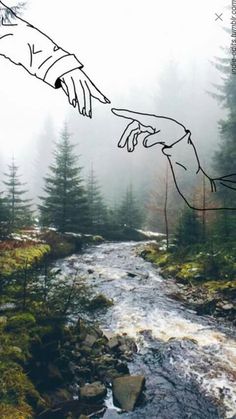 two hands reaching out towards each other over a river in the middle of a forest