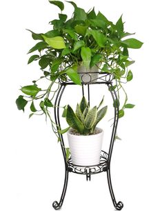 PRICES MAY VARY. 【MEASURES】: Total height 28.4 inches. The diameter of the top frame is 11.8 inches,bottom frame is 9.8 inches. 【HEAVY DUTY】:This plant holder is made of high quality,thick,sturdy SOLID iron steel.NOT HOLLOW IRON PIPE.Total net weight is 7.94 lbs. Can holds a plant in a heavy ceramic pot.Easily hold 60 or more lbs. 【STURDY-STABLE】: This flower pot stand has 3 "Double-Solid-leg" support to make it steady.Not easy to knock it over. 【OUTDOOR-INDOOR】Durable metal with rustproof finis Flower Pot Stand, Stand Flower, Pot Stand, Metal Plant Stand, Plant Stand, Flower Pot, Wrought Iron, Plants, Design