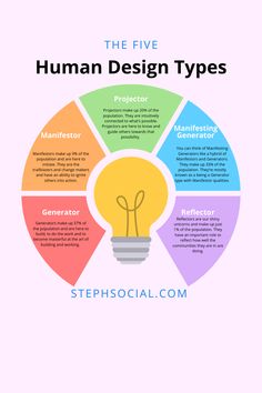 the five human design types are shown