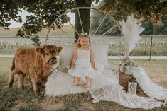 Pig Photography, Instagram Photo Prop, Farm Family Pictures, Pig Photo, Mini Highland Cow, Highland Cow Pictures, Easter Mini Session, Cow Photography, Toddler Pictures