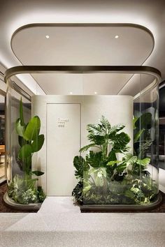 the entrance to an office with plants in glass cases