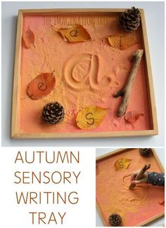 an autumn writing tray is shown with pine cones, leaves and letters on the surface