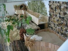 an indoor garden area with plants and rocks