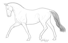 a drawing of a horse that is walking