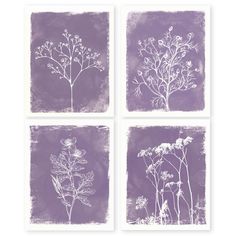 four purple and white prints with flowers on them