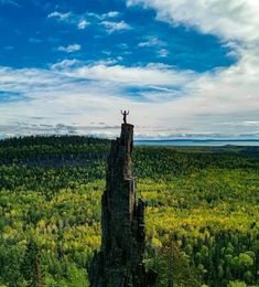 a man standing on top of a tall rock in the middle of a forest