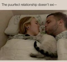 a man and woman laying in bed with a cat on their back, the caption reads the purrect relationship doesn't exit