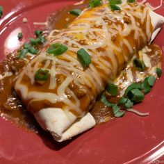 a red plate topped with enchilada covered in sauce and green onion garnish