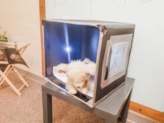 a stuffed animal in a display case on top of a metal table next to a white wall