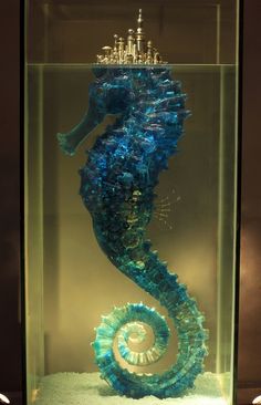 a blue seahorse in a glass case