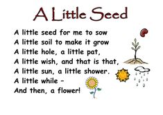 a little seed poem for kids