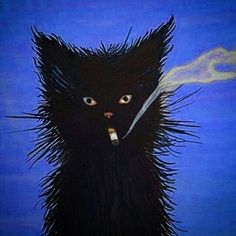 Animal Fails, Gatto Carino, Art Dark, Silly Cats, Art Photo, Dark Art