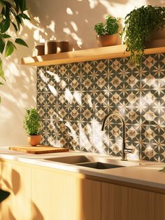 a kitchen sink with plants on the shelf above it