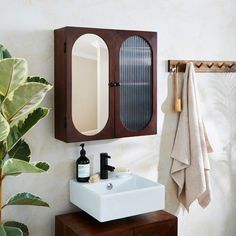 a bathroom with a sink, mirror and towel hanging on the wall next to a potted plant