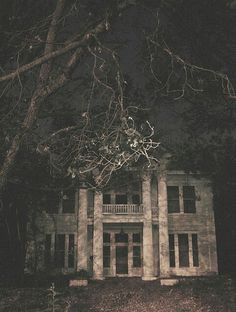 an old house in the woods at night with no one around it and trees on either side