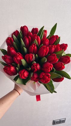 a bouquet of red tulips being held by someone