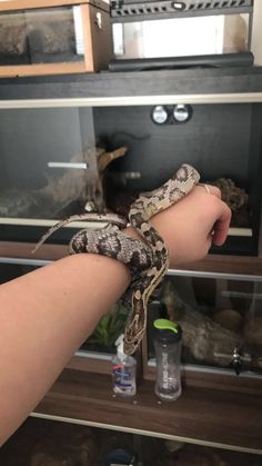 a person holding a snake in front of an oven with its arm wrapped around it