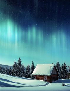 a cabin in the middle of a snowy field with an aurora bore above it and snow covered trees