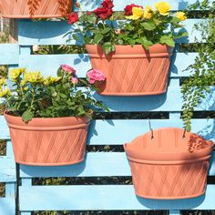 three flower pots are hanging on a blue fence