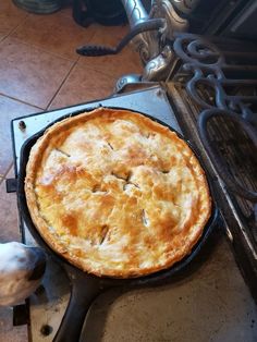 a dog is looking at a pie on the stove