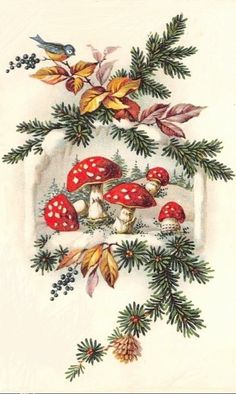 an old fashioned christmas card with mushrooms and pine cones