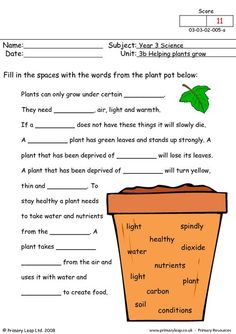 worksheet for plants and flowers with pictures on the page to help students learn how to