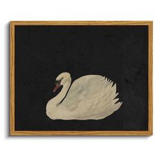 a white swan floating in the water on a black and brown background with a wooden frame