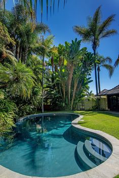 a swimming pool surrounded by palm trees and greenery on a sunny day with blue sky