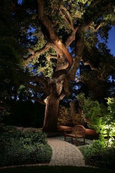 a bench under a large tree in the middle of a garden at night with lights on