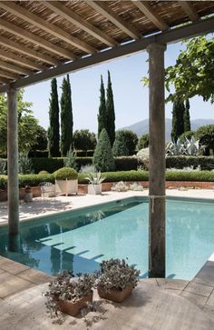 an outdoor swimming pool with potted plants on the ground and trees in the background