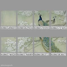 four different pictures of peacocks on a tree with white flowers in the foreground