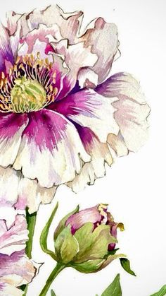 an image of two flowers that are in the middle of watercolor and ink on paper