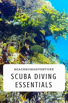 the words scuba diving essentials over an image of coral reef and seaweed in clear blue water